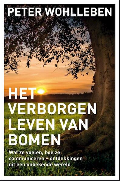 Het geheime leven van bomen - Peter Wohlleben (ISBN 9789400507326)