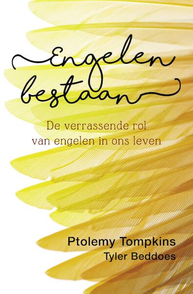 Engelen bestaan - Ptolomey Tompkins, Tyler Beddoes (ISBN 9789020212785)