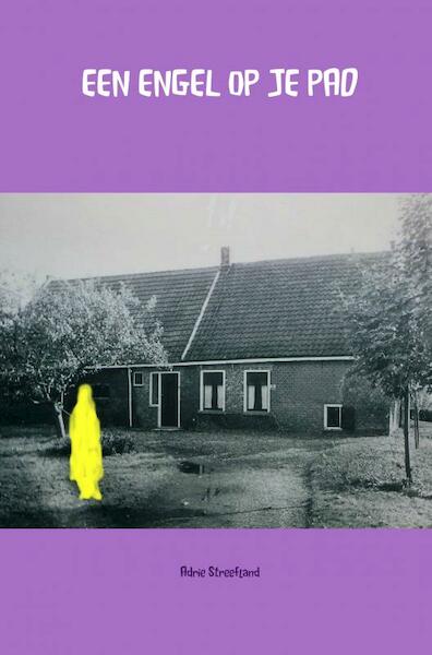 Een engel op je pad - Adrie Streefland (ISBN 9789402172669)