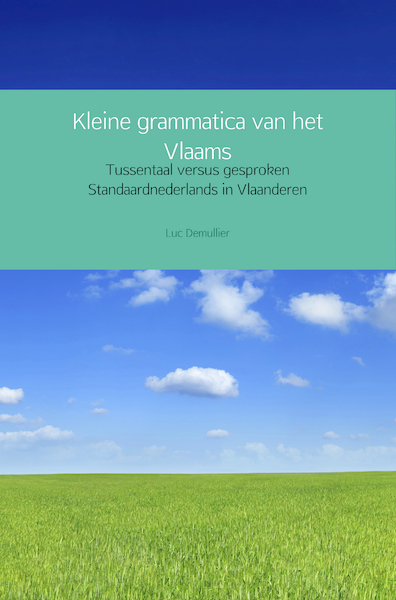 Kleine grammatica van het Vlaams - Luc Demullier (ISBN 9789402189193)