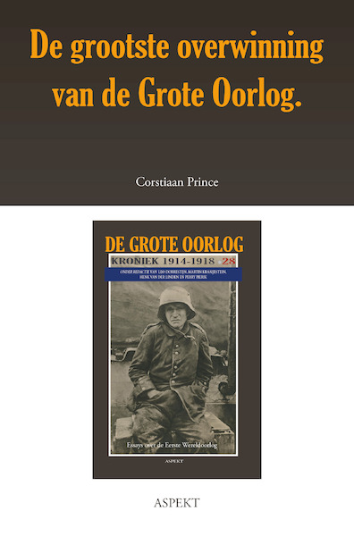 De grootste overwinning van de Grote Oorlog - Corstiaan Prince (ISBN 9789463386272)