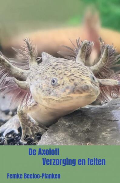 De Axolotl - Femke Beeloo-Planken (ISBN 9789464484977)