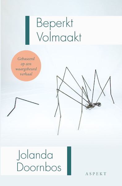 Beperkt Volmaakt - Jolanda Doornbos (ISBN 9789464629873)