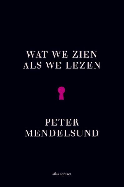 Wat we zien als we lezen - Peter Mendelsund (ISBN 9789025446314)