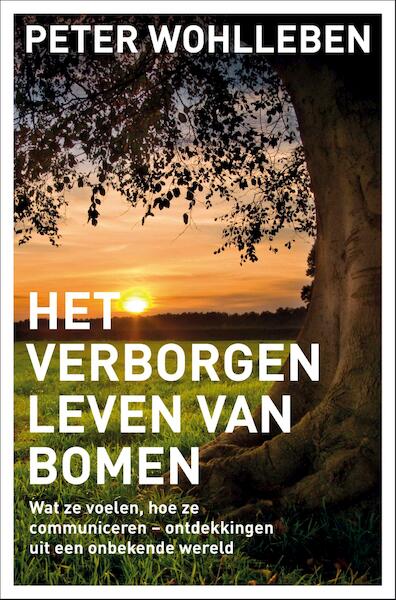 Het geheime leven van bomen - Peter Wohlleben (ISBN 9789044975079)
