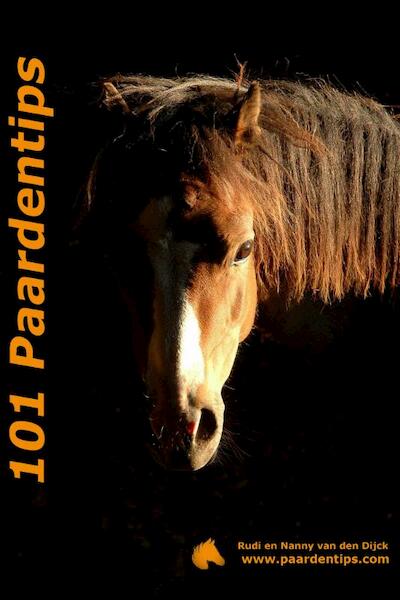 101 Paardentips - Rudi van den Dijck, Nanny van den Dijck (ISBN 9789078155072)