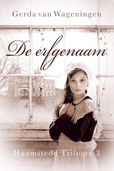 De erfgenaam - Gerda van Wageningen (ISBN 9789401902960)
