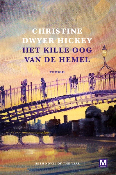Het kille oog van de hemel - Christine Dwyer Hickey (ISBN 9789460684548)