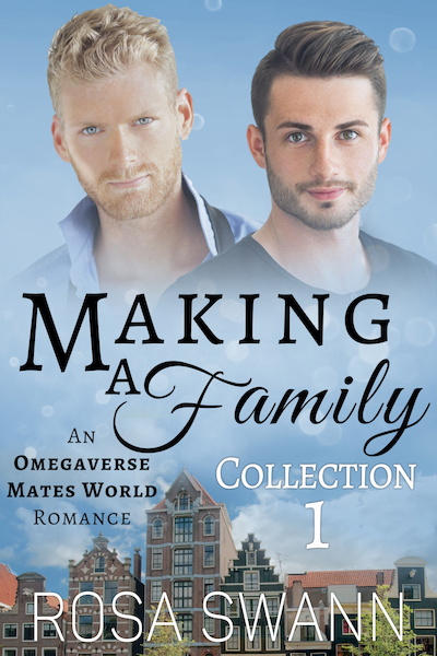 Making a Family Collection 1 - Rosa Swann (ISBN 9789493139503)
