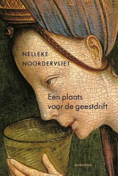 Een plaats voor de geestdrift - Nelleke Noordervliet (ISBN 9789045705781)
