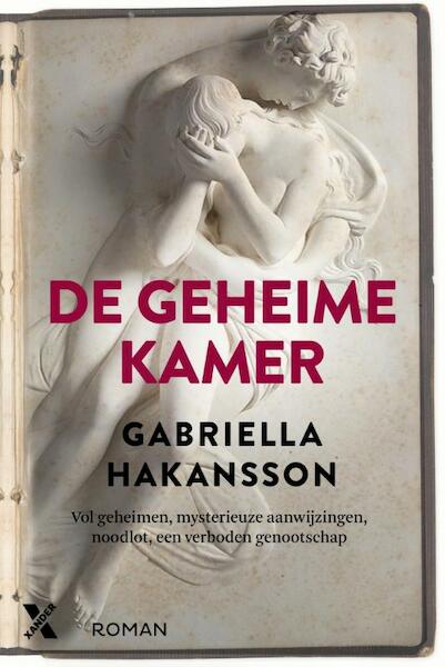 De geheime kamer - Gabriella Hakansson (ISBN 9789401601276)