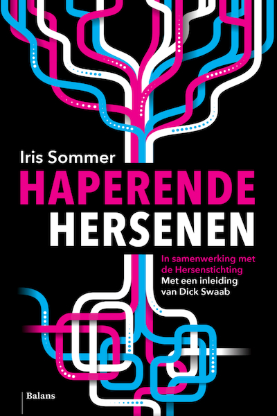 Haperende hersenen - Iris Sommer (ISBN 9789460030635)