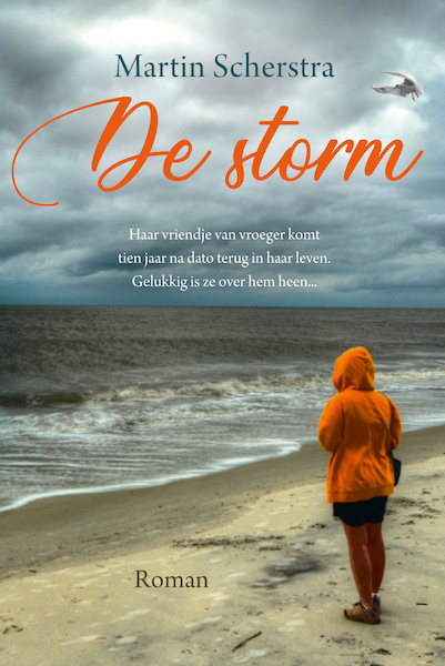 De storm - Martin Scherstra (ISBN 9789020537178)