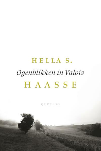 Ogenblikken in Valois - Hella S. Haasse (ISBN 9789021408460)