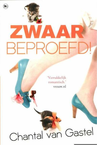 Zwaar beproefd - Chantal van Gastel (ISBN 9789044331264)