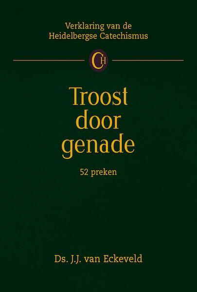 Troost door genade - J.J. van Eckeveld (ISBN 9789462789760)