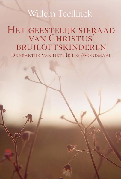 Het geestelijk sieraad van Christus' bruiloftskinderen - Willem Teellinck (ISBN 9789087181659)