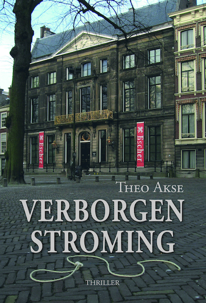Verborgen stroming - Theo Akse (ISBN 9789463281379)