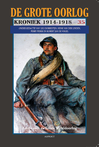 1916: Het sleuteljaar van de Eerste Wereldoorlog - Rian Van Meeteren (ISBN 9789464240375)
