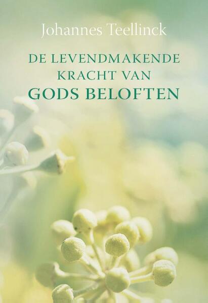 De levendmakende kracht van Gods beloften - Johannes Teellinck (ISBN 9789462788862)