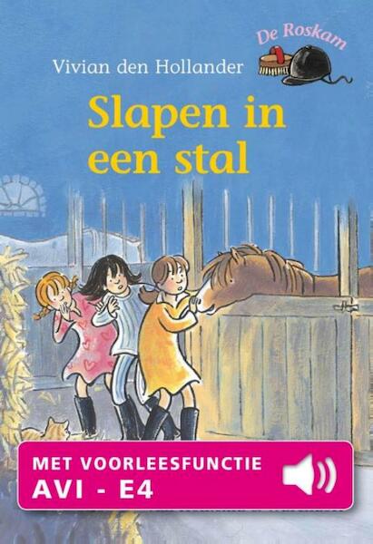 Slapen in een stal - Vivian den Hollander (ISBN 9789000326297)