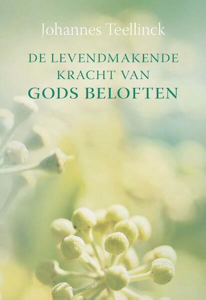 De levendmakende kracht van Gods beloften - Johannes Teellinck (ISBN 9789462789845)