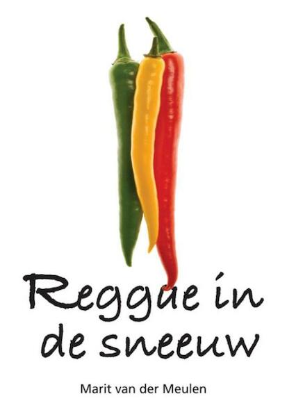 Reggae in de sneeuw - Marit van der Meulen (ISBN 9789089543387)