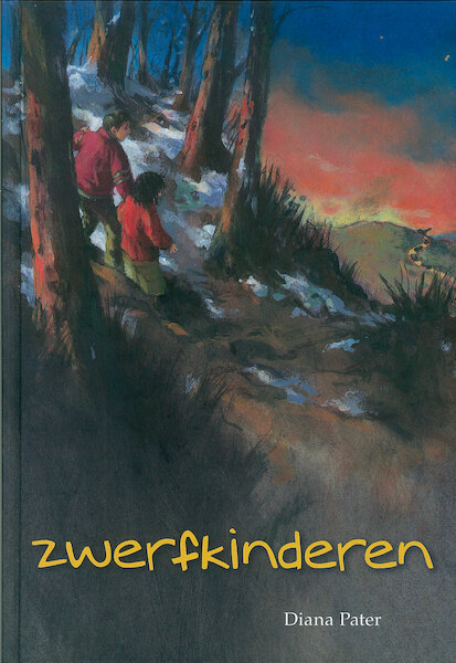 Zwerfkinderen - Diana Pater (ISBN 9789402900385)