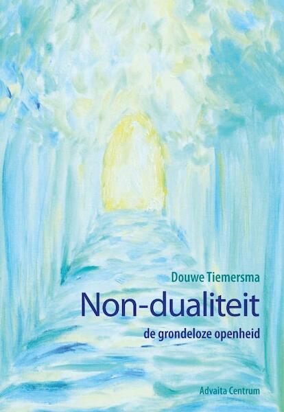 Non-dualiteit - Douwe Tiemersma (ISBN 9789077194065)