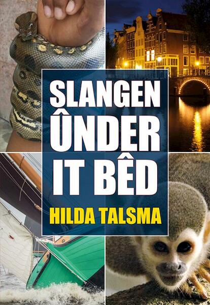 Slangen ûnder it bêd - Hilda Talsma (ISBN 9789089549624)