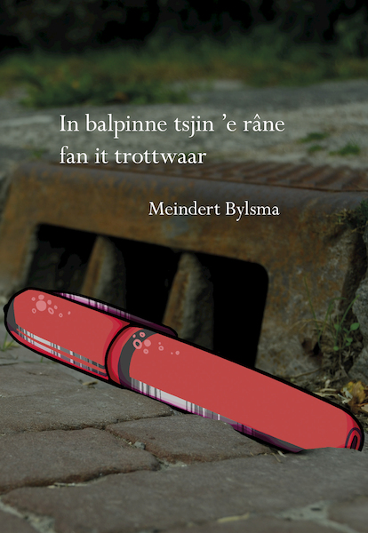 In balpinne tsjin 'e râne fan it trottwaar - Meindert Bylsma (ISBN 9789463651967)