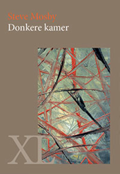 Donkere kamer - Steve Mosby (ISBN 9789046309834)