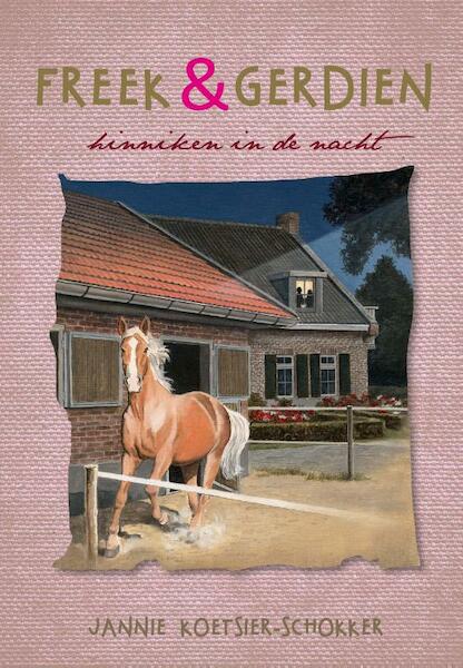 Hinniken in de nacht - Jannie Koetsier-Schokker (ISBN 9789087181161)
