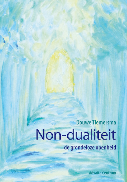Non-dualiteit - Douwe Tiemersma (ISBN 9789077194119)