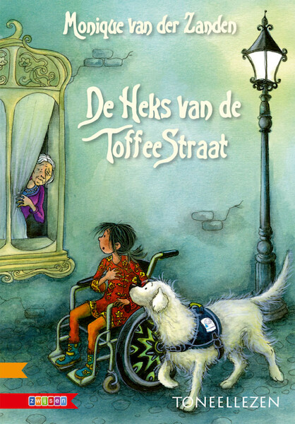 DE HEKS VAN DE TOFFEESTRAAT - Monique van der Zanden (ISBN 9789048727513)