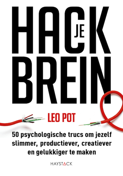 Hack je brein - Leo Pot (ISBN 9789461264848)