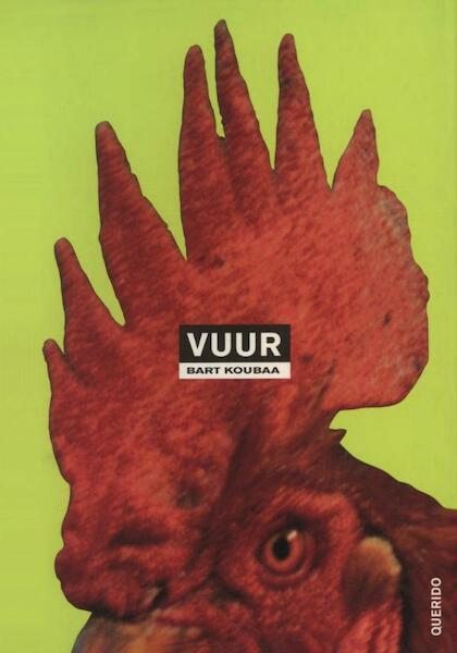 Vuur - Bart Koubaa (ISBN 9789021445021)