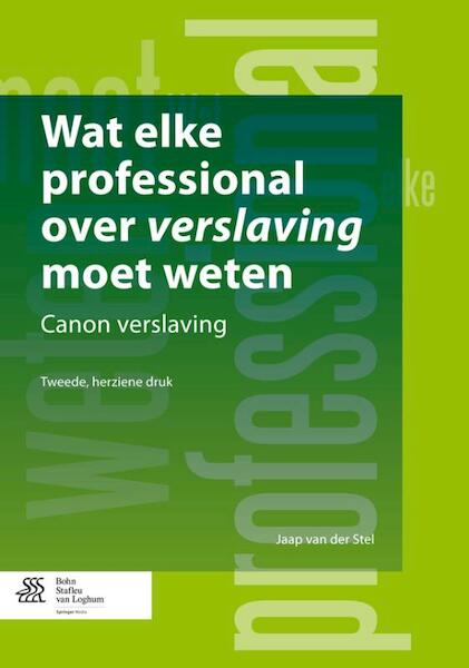 Wat elke professional over verslaving moet weten - Jaap van der Stel (ISBN 9789031388363)