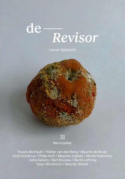 Revisor 31 - Diverse auteurs (ISBN 9789021468273)