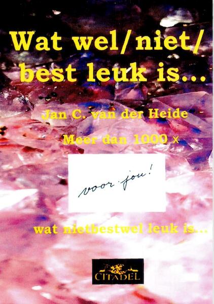 Wat wel/ niet/ best leuk is... - Jan C. van der Heide (ISBN 9789065861009)