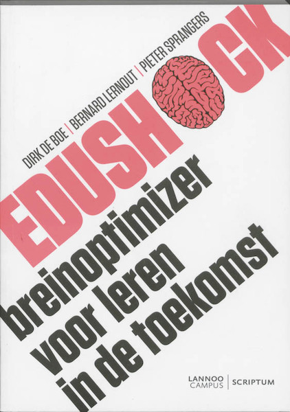 Edushock - Dirk de Boe, Bernard Lernout, Pieter Sprangers (ISBN 9789077432501)