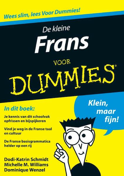 De kleine Frans voor Dummies - Dodi-Katrin Schmidt, Dominique Wenzel, Michelle M. Williams (ISBN 9789043030168)