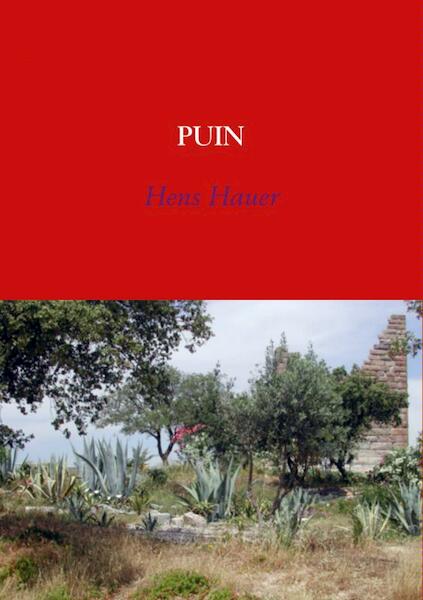 Puin - Hens Hauer (ISBN 9789402122237)