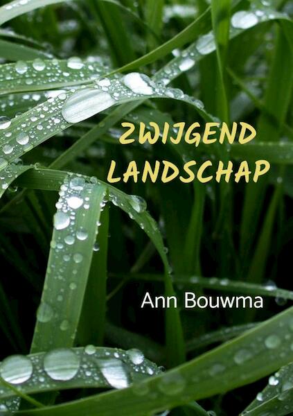 Zwijgend landschap - Ann Bouwma (ISBN 9789464189193)