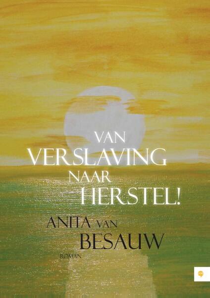 Van verslaving naar herstel! - Anita Van Besauw (ISBN 9789400825321)