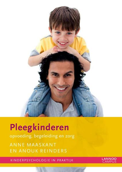 Pleegkinderen: opvoeding, begeleiding en zorg - Anne Maaskant, Anouk Reinders (ISBN 9789401430753)