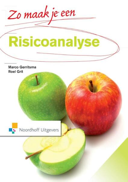 Zo maak je een risicoanalyse - Marco Gerritsma, Roel Grit (ISBN 9789001844196)
