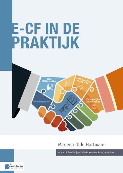 e-CF in de praktijk - Marleen Olde Hartmann (ISBN 9789401805704)