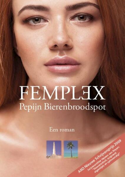 FEMPLEX - Pepijn Bierenbroodspot (ISBN 9789065231703)