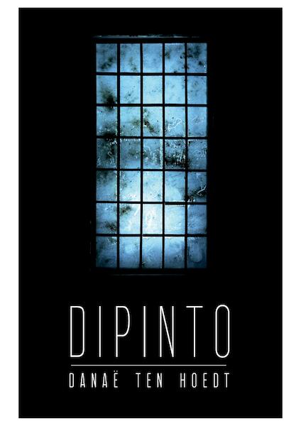 Dipinto - Danaë ten Hoedt (ISBN 9789463082518)